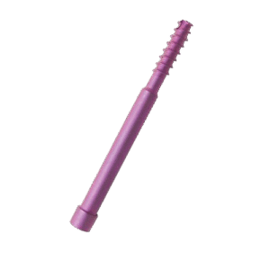 Leg Screw for PFN Nail, Dia 6.4mm