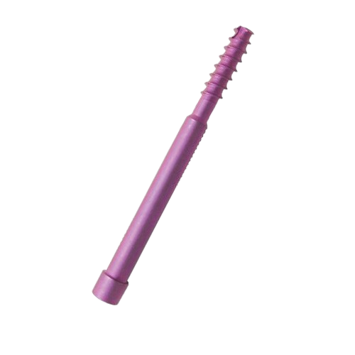 Leg Screw for PFN Nail, Dia 6.4mm