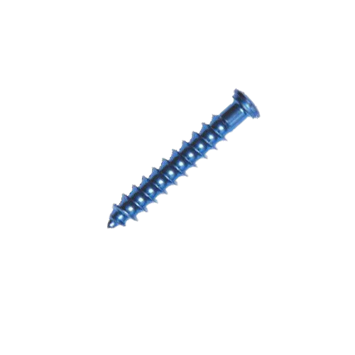 Low Profile Cancellous Screw